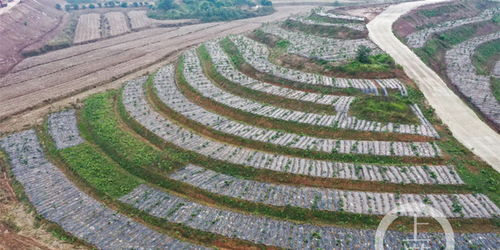 農業面源污染防治見實效，2021年重慶化肥農藥使用量均同比減少