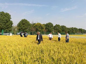 農(nóng)業(yè)養(yǎng)分循環(huán)與面源污染控制學術研討會在南京召開，助力農(nóng)業(yè)面源與重金屬污染防治技術服務