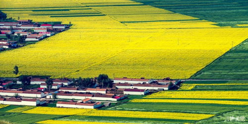 世界上最有能量的語言 農業綠色發展的技術之聲